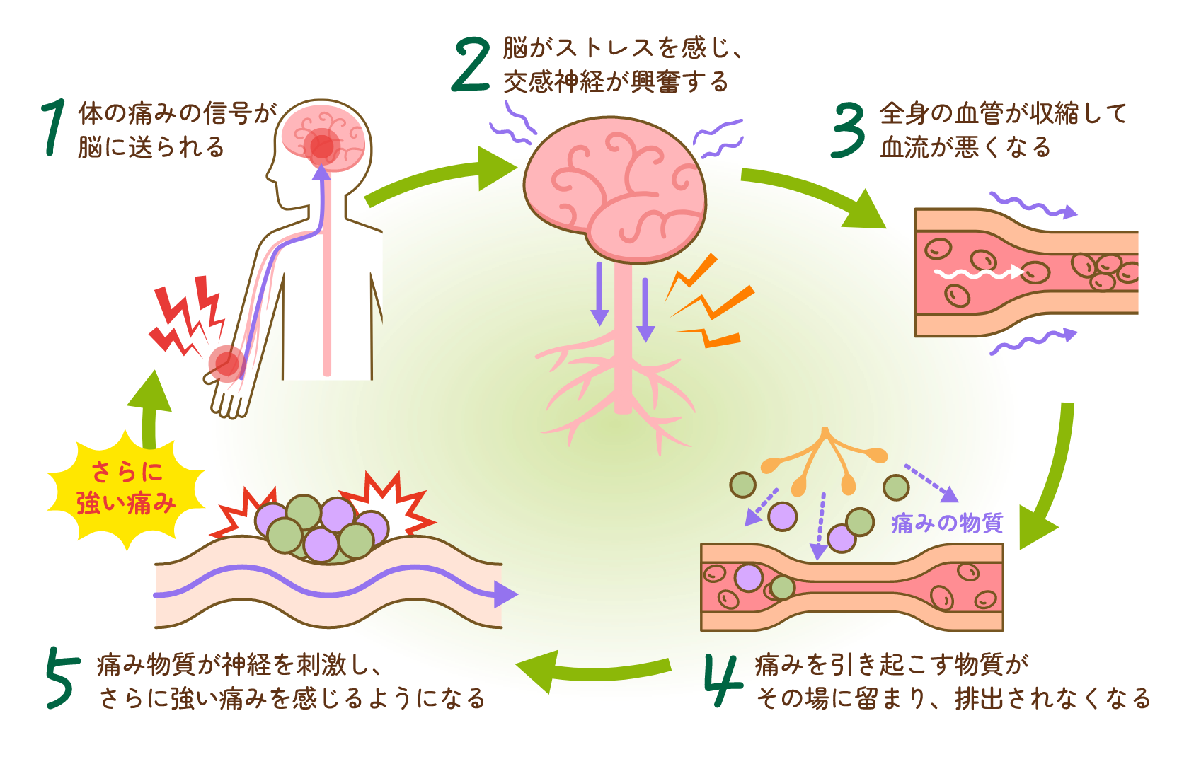 参考イメージ
