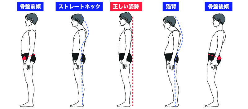 姿勢イメージ